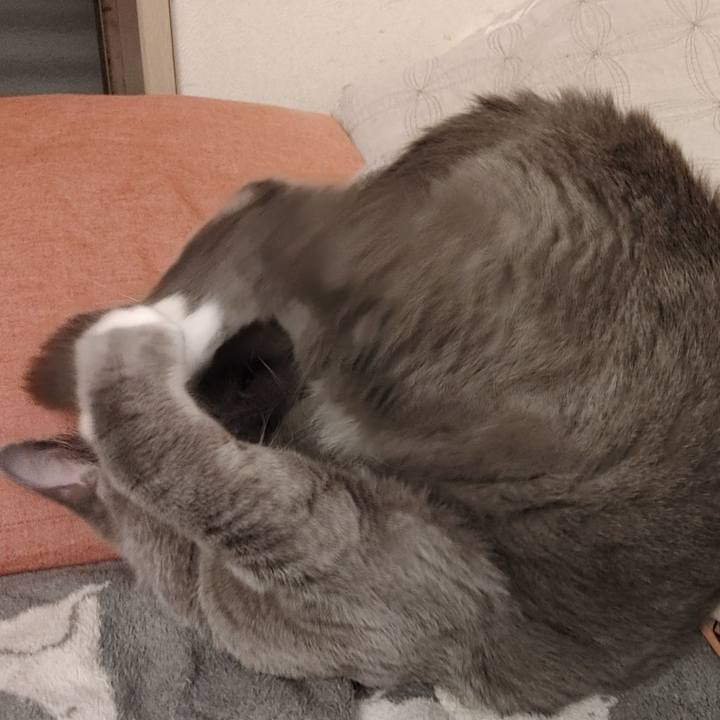 095dc8e8 eaea 49e1 b4f6 4b9b961d75ee 1619655508183