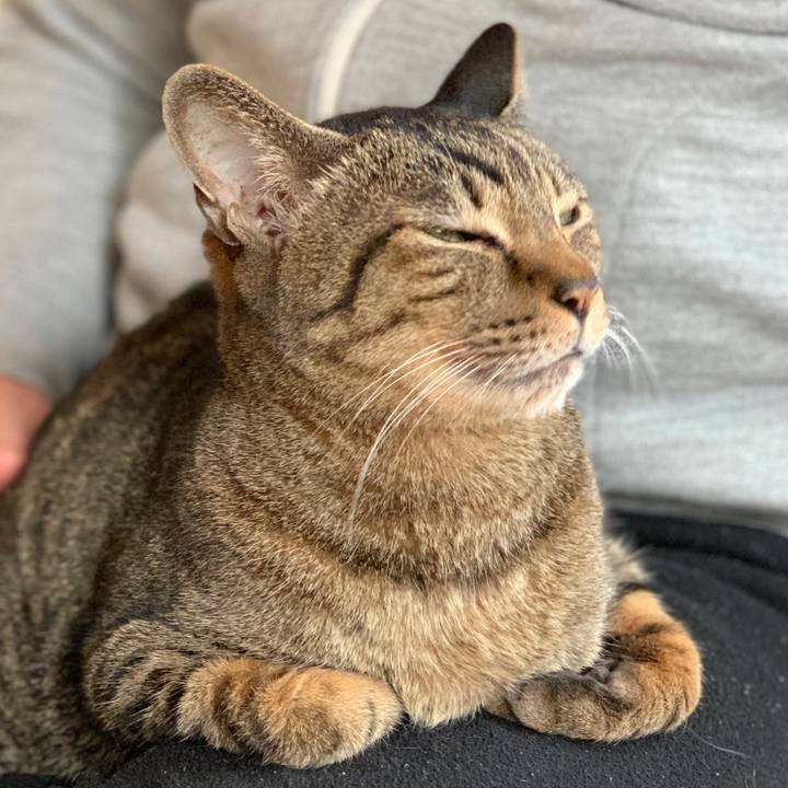 095df34e 1277 42f4 9e77 0f238a1e1739 1582161243623