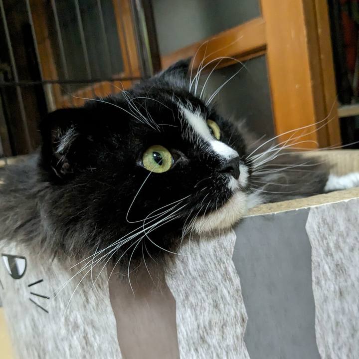 095e5366 e6a0 4d19 84e0 c2025bfacf7a 1691065819598