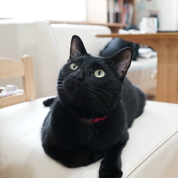 095e5811 3208 4f41 9932 d801eb162065 1561680543221