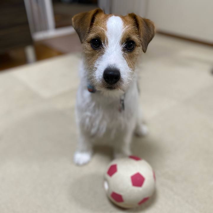 095e6ced 94e2 472c 8ab6 c82b57f5712d 1693747781062