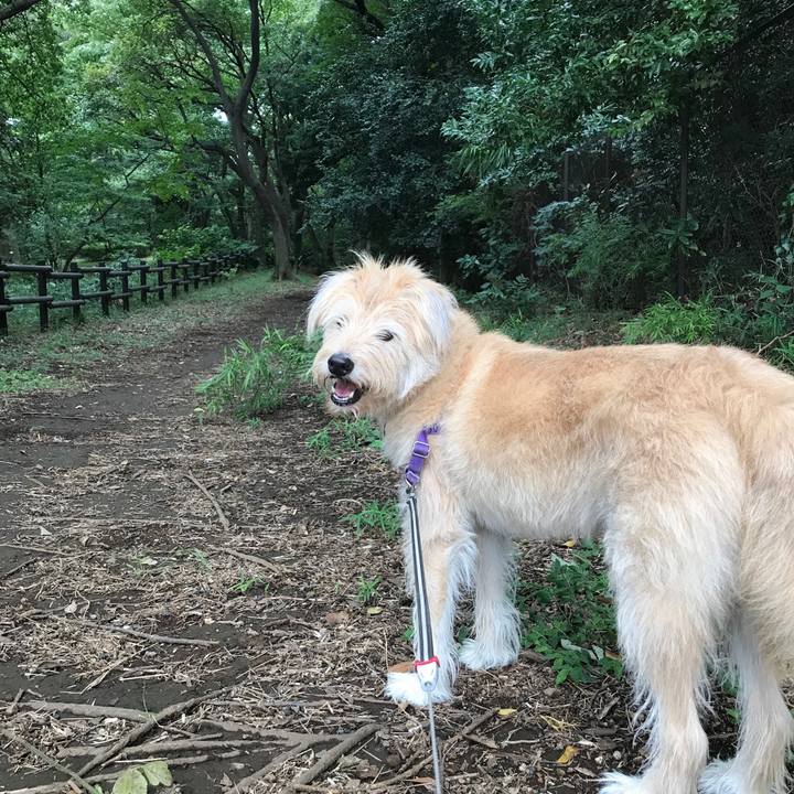 095e7231 a673 40d3 a49c c9328e137d43 1536638158926