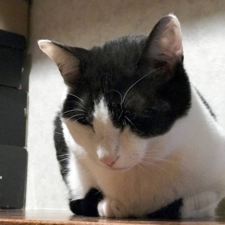 095e916d 2dba 49d3 a434 2332359c1b81 1527813335273