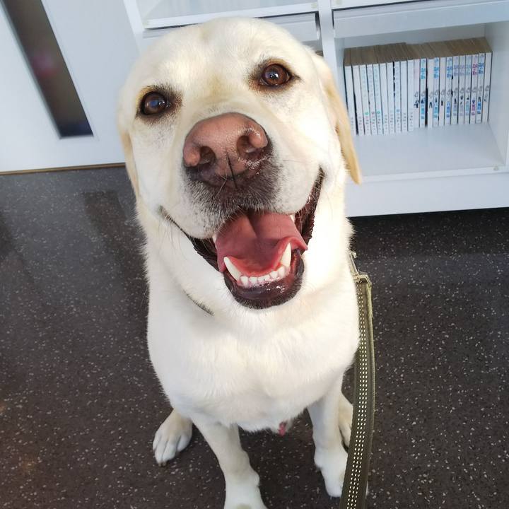 095ea321 529f 4ab5 9535 584c7b64ed8b 1530434260772