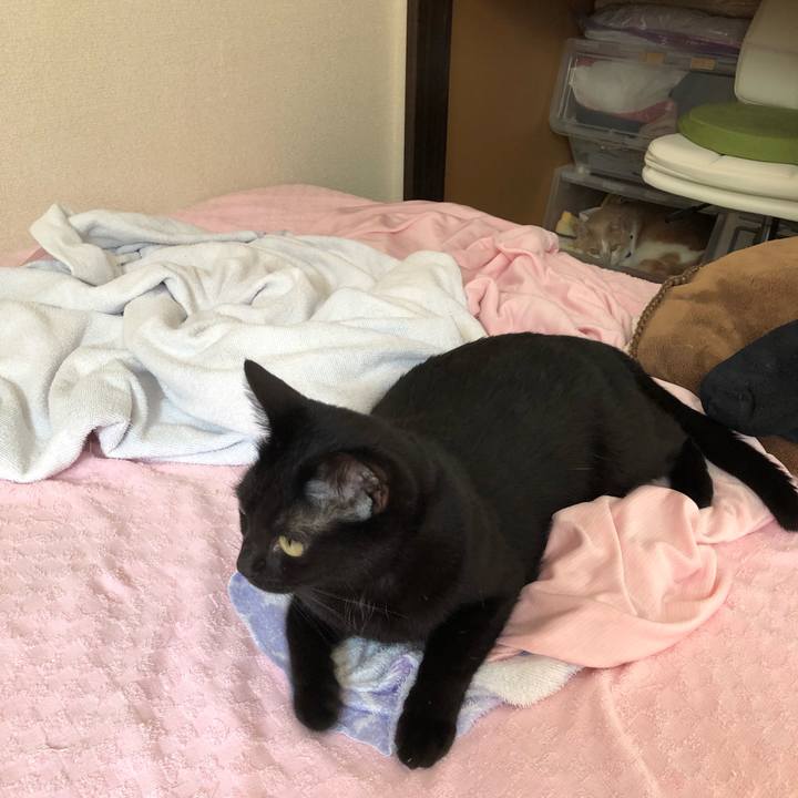 095f025f cf4b 4b00 b056 0499acce4929 1535686286797