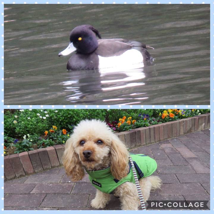 095f26c6 f15d 450c 94f1 1f1500cbe86c 1550310056594