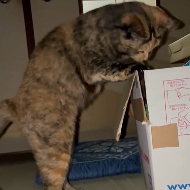 095f5da4 f506 4e1e b0d1 fbf53c0f081c 1748977794287