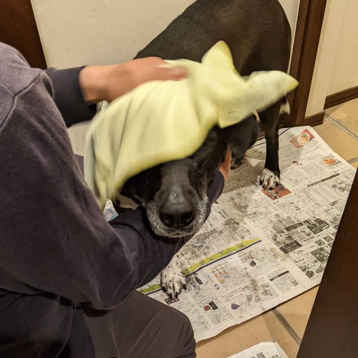 095f79c6 7567 4b36 a3d8 fd7d14e60098 1684059944718