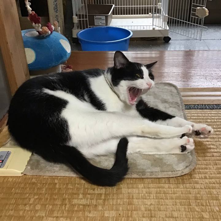 095f844b 7935 4096 82cd afe1e4a57d89 1654492025796