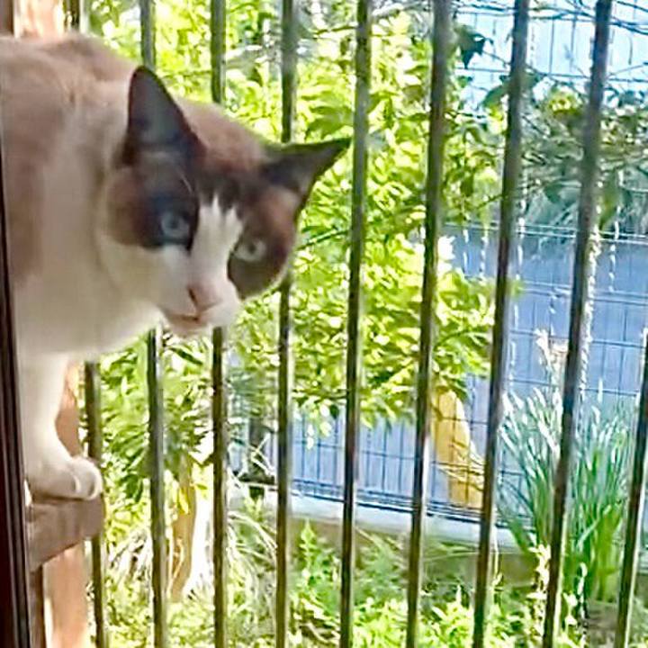 095fa1b3 1ea0 4a4f 8651 1f3b74b5827d 1744364118500