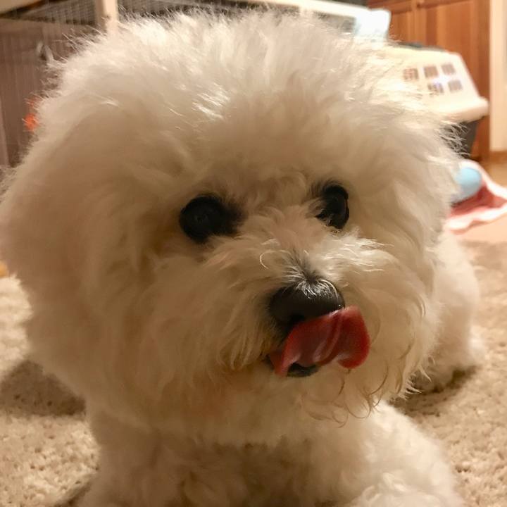 095fabcb 3966 4f8e b6b9 a5c0f1189fd9 1584439620203