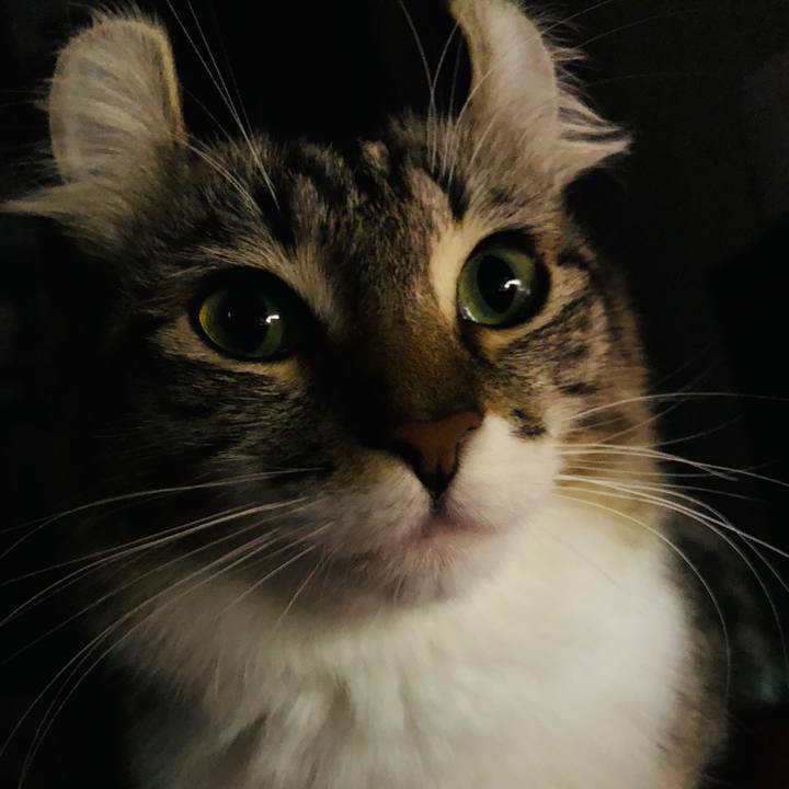 095fd044 6acd 4511 ab70 f9013ccdb6ac 1640428054053