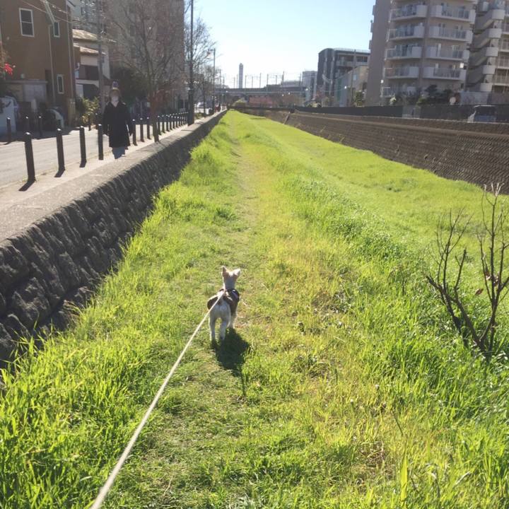 095ff493 1dd5 4710 96ce 539920c36b9d 1546064337203