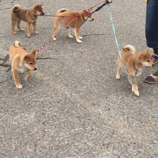 096053e8 655b 454a 9fdf c6fe49896f38 1562454186493