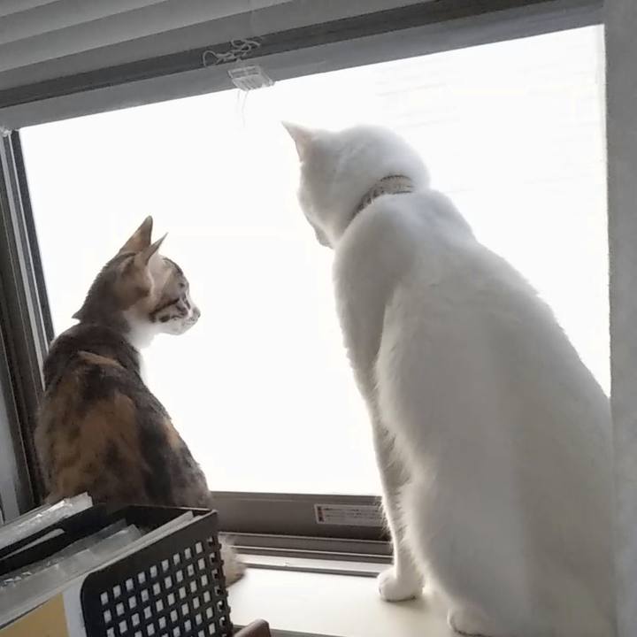 09605964 69da 4e23 ae28 6de982d11e63 1629498782111