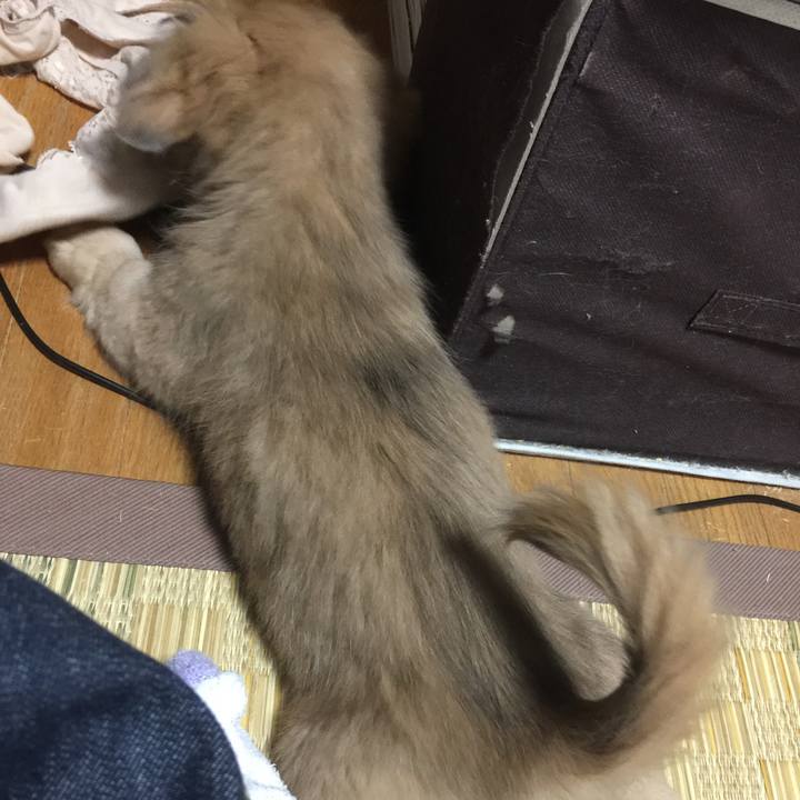 0960f30e 4ac4 4094 a2d4 e632f18a6a73 1539898623672