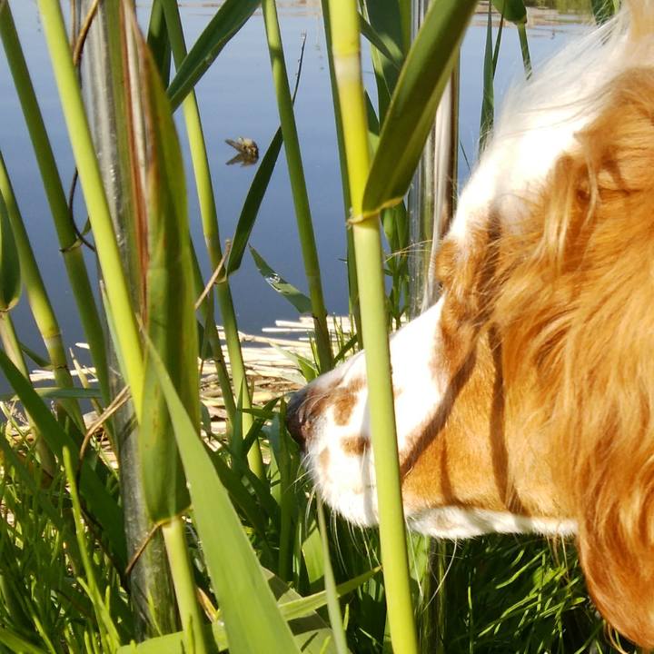 0960fbe2 4efe 4f02 be69 013863374ffc 1524105949990