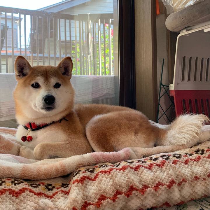 09613971 3e8e 41cc 9d1d e58eef6dfd4d 1605511612638