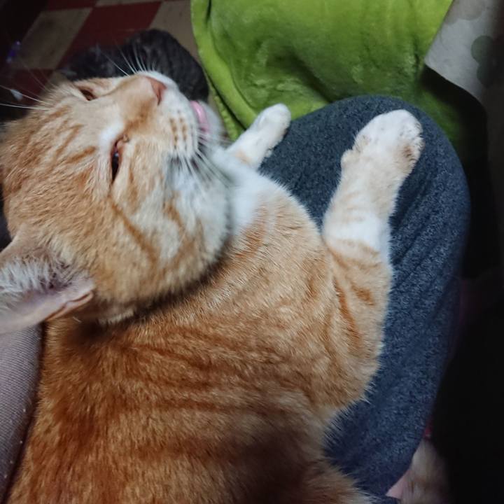 09615436 0ea8 404f 9a39 1f476369ae9a 1588189953224