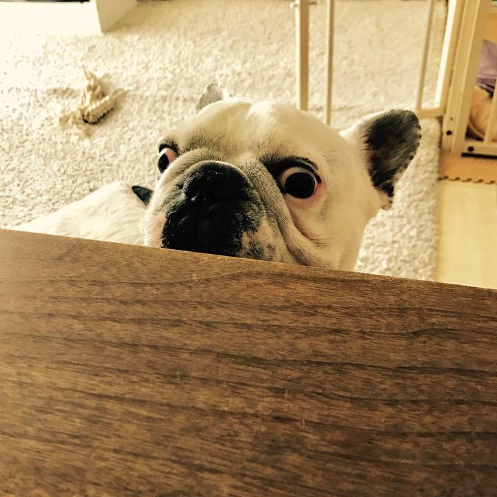 09617aea b536 40f3 a84f 47e6b0b586ec 1513555767210