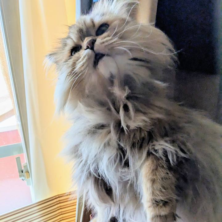 09618ce4 a6f0 453e bfbb 2f6f5965e9ab 1676345843866