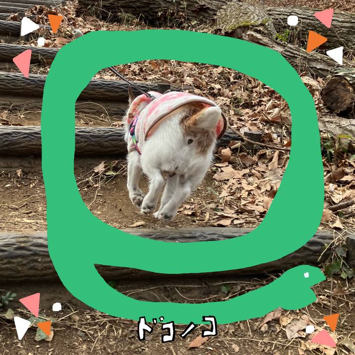 0961e056 0432 432c ae03 725042287958 1741131162018