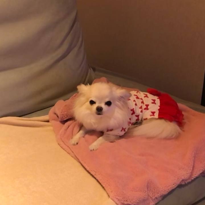 0962251d 2b92 4011 8107 505ed3672280 1607090172853