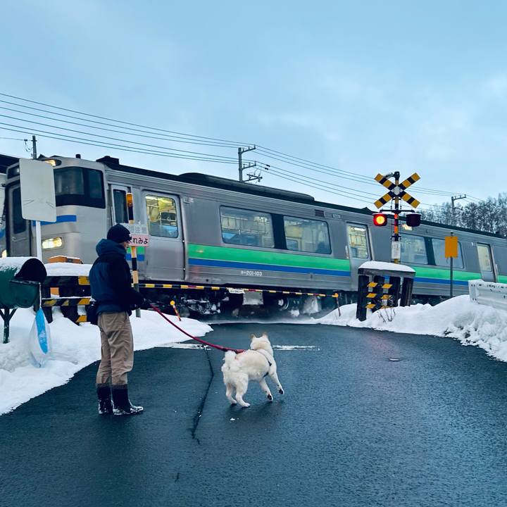 0962378e 17df 4909 983a 65f90a499711 1736639109367