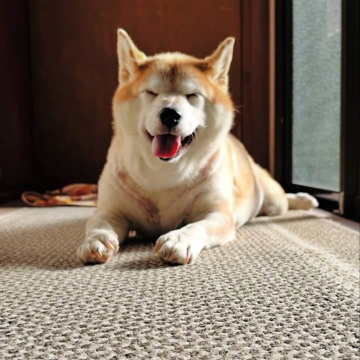 09625e0b a8bf 489f b6db a1befafd8e8a 1758606178148