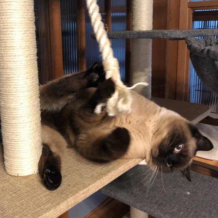 09629caa 71d3 4db0 a23d 765c463c6c8b 1620341529191