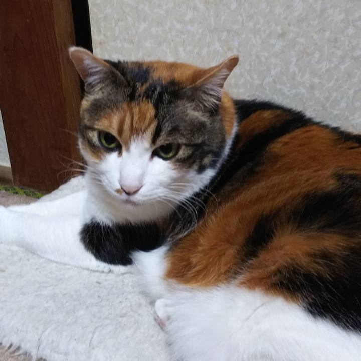 09634473 129f 4df6 a3ea 799e5a7a9b28 1553809762397