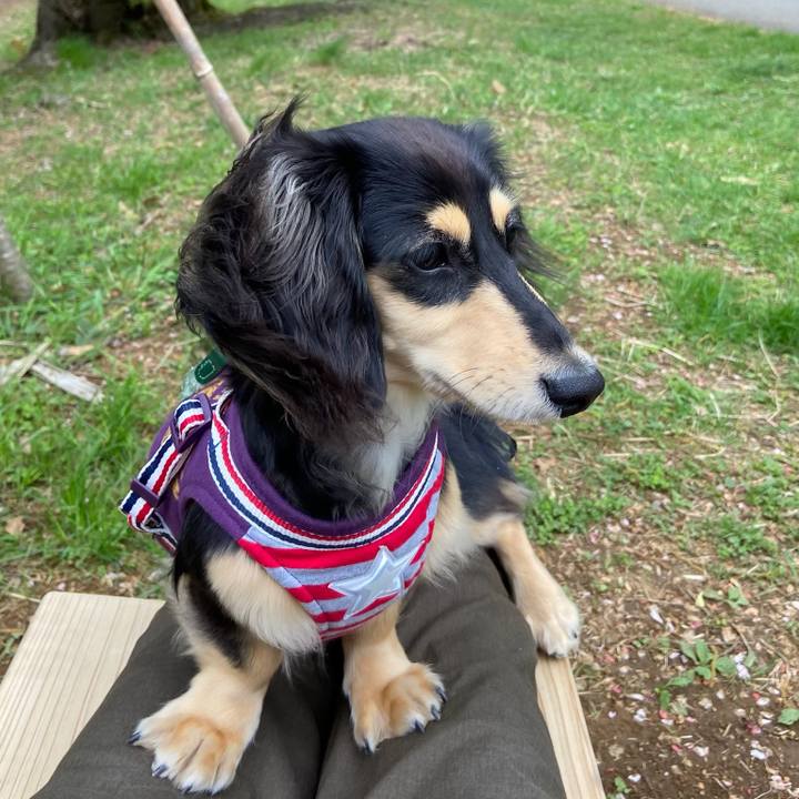 09635d59 d69a 46f4 b871 e09dde9ac0fe 1680833681739