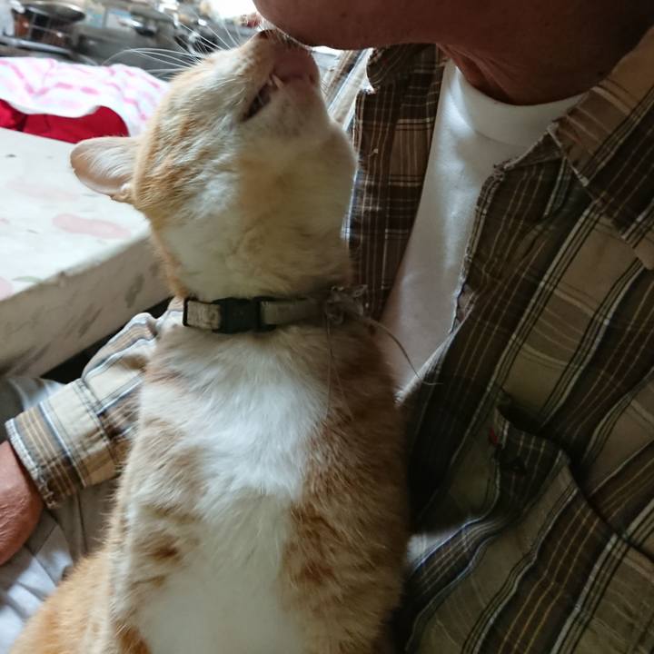 096385e4 5d9c 4432 bb1a 75b78bfe16a0 1590958125824