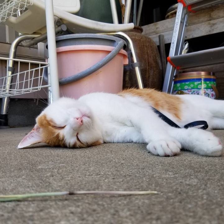 0963d79a aebf 4cc9 828f d925bc7a9938 1534045620077