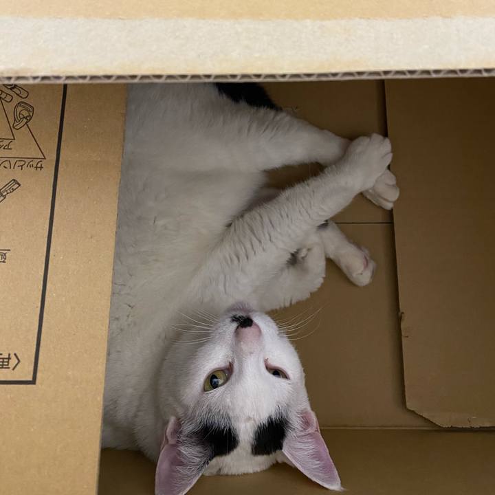 0963dd81 d690 4611 8969 ea53de0e7673 1588603704099