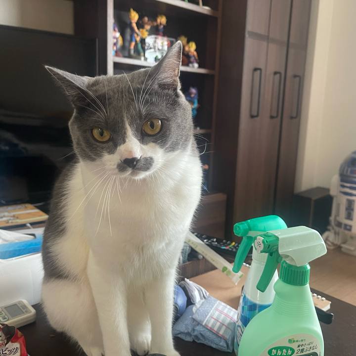 0963deed f5cd 4e76 a161 54680e5070a9 1629009314484