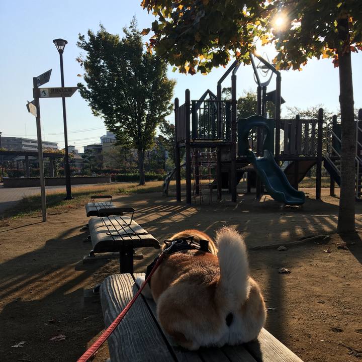 0963e2f3 74a0 4fe6 99a6 76c9eed7f212 1603928427570