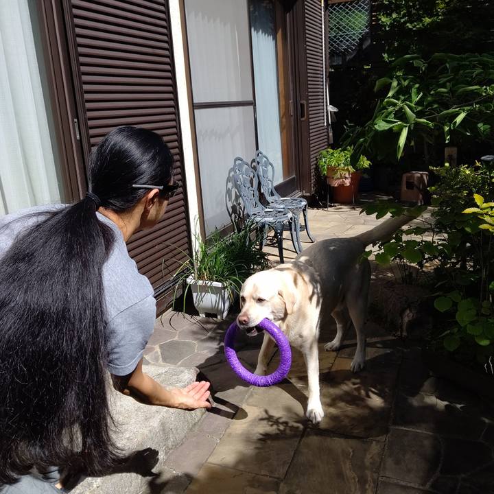 0963e862 493d 4009 aaf5 5a63819bb090 1696579514329