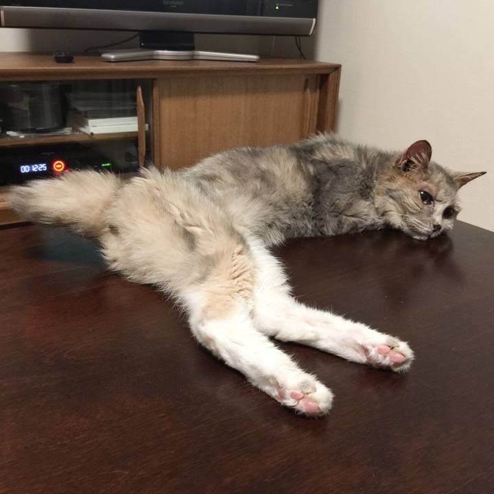 09640bbe aa15 40a5 8d42 dbe9950fcb37 1531315204814