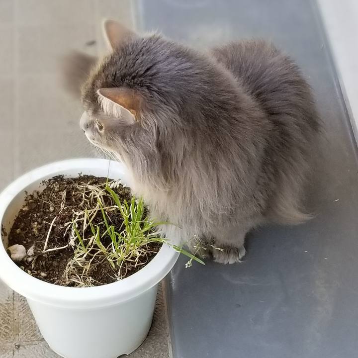 09641bb2 7fc9 4cdc b969 8b8f6c0c7f00 1557315842738