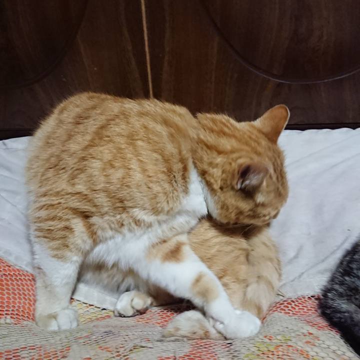 0964553e d715 4458 814d 4800e3c92152 1586866217911