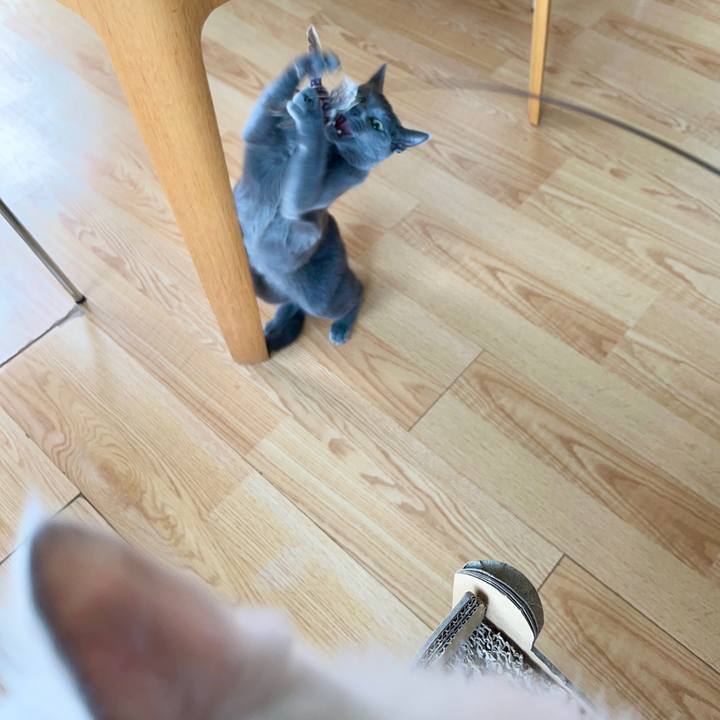 09647270 2b44 4473 9165 aa8d9b4f8411 1677652805486