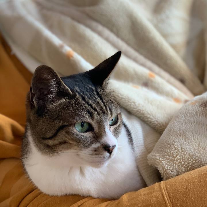 09649c9b 0909 4a81 bac5 7199093ef11d 1587690718077