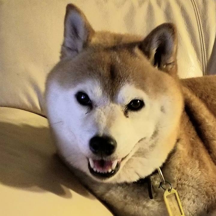 0964aefd 76cf 4ad9 8517 ec9b9e51ef3c 1624795082799