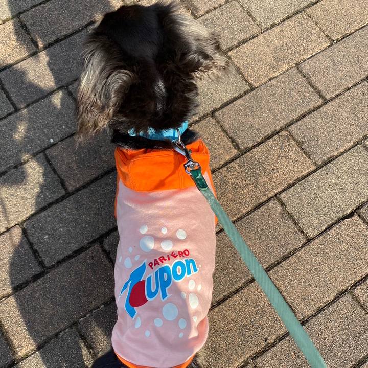 0964b79c 7de8 45db 9a2b 61d5b51404a5 1683590898189