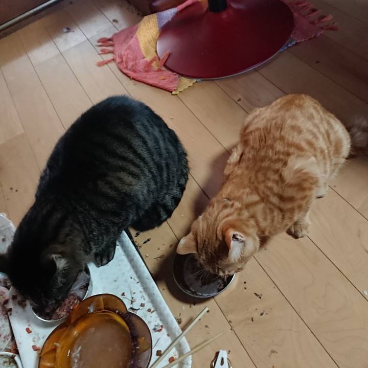 0964bd59 962f 413f ae4d e1f589fa7b2f 1639969432387