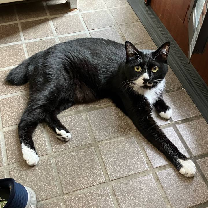 0964cb28 f587 42aa bb0d d2ab1a6e9198 1757318014895