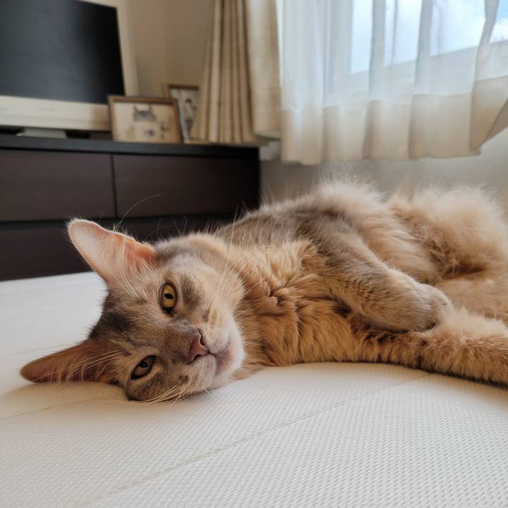 0964d489 ccfc 4659 b5a8 7f54055a5128 1629527830837