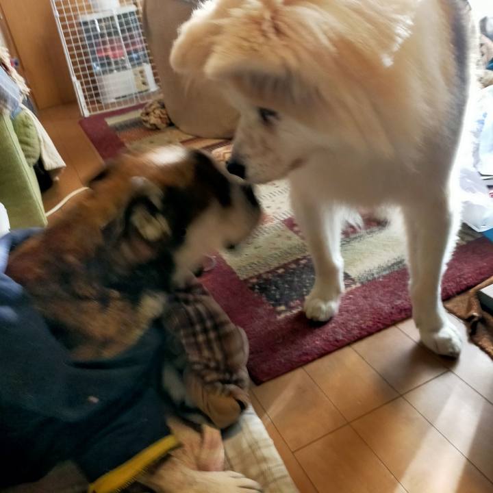 0964f56b c606 4504 9622 e764cedac810 1704725443063