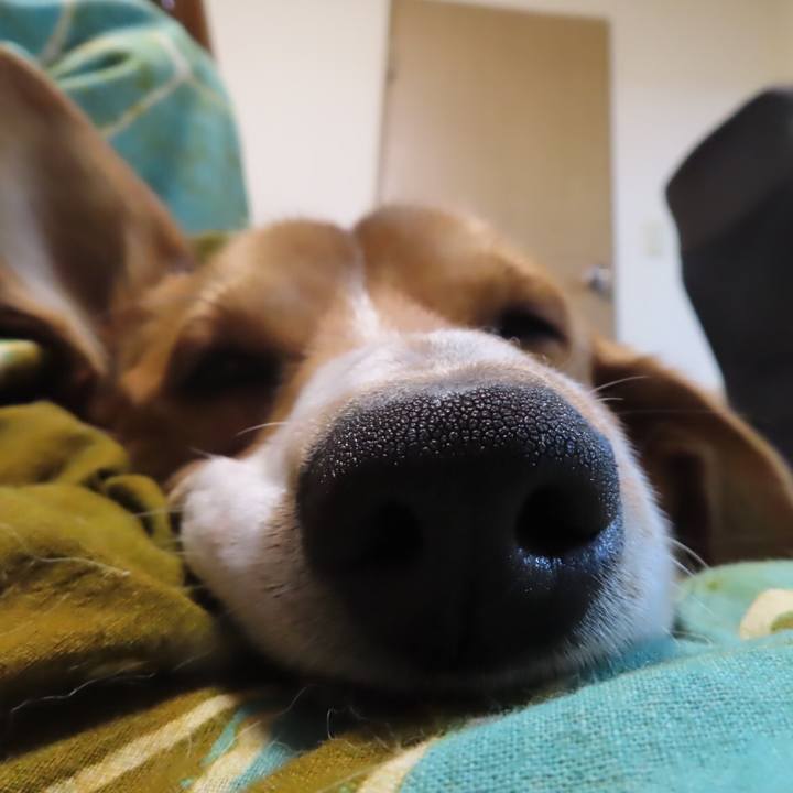 09650613 9e1f 40f1 ad19 b2254ced56c8 1644037726861